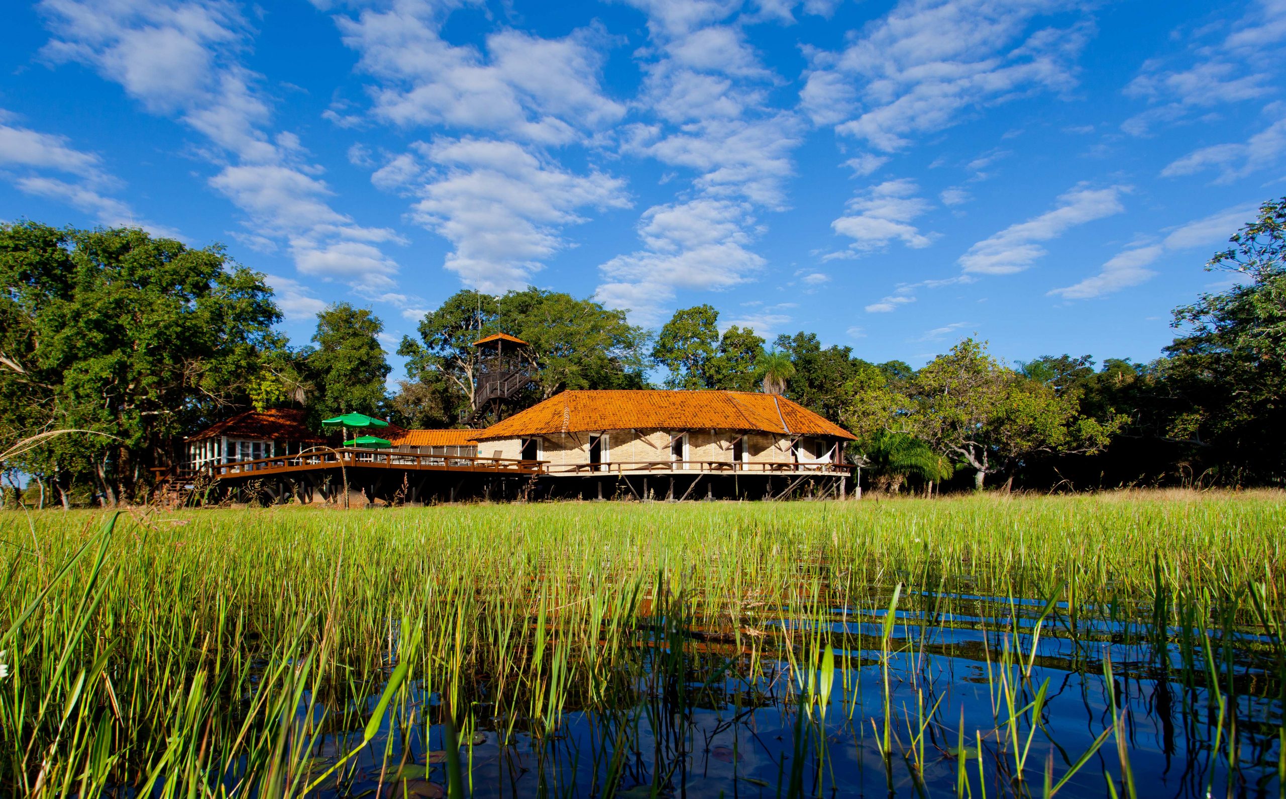 CONHEÇA ROTAS PARA ANDAR A CAVALO NO PANTANAL E OUTRAS REGIÕES - Lugares ECO