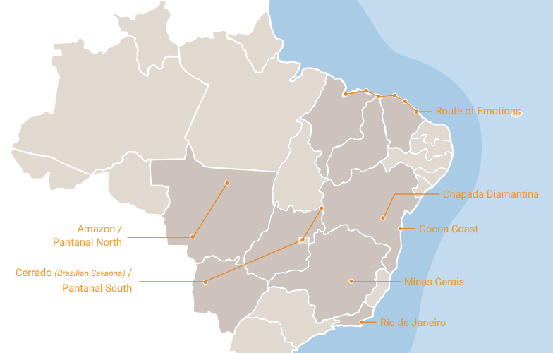 Clássicos Brasileiros: o Jacaré que foi o Rei das Estradas do